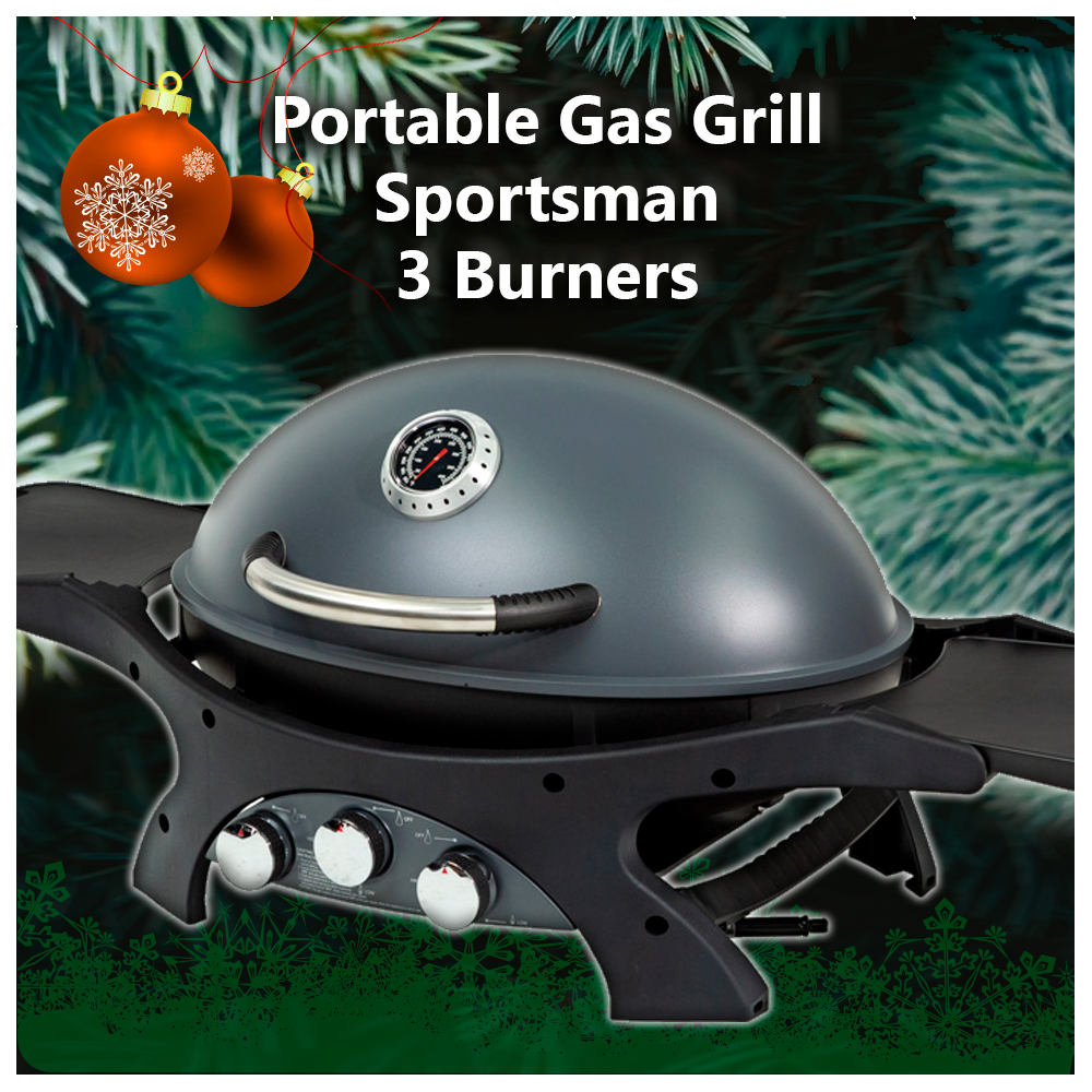 Reversible Center Griddle (Sportsman 3)