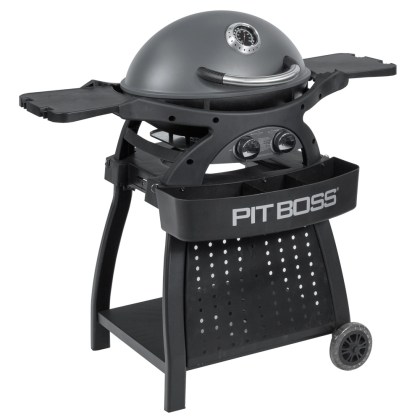 Pit Boss Portable Gas Grill Sportsman 2 Grey with Cart Promotion